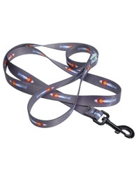 RepYourWater Colorado Cutthroat Dog Leash in One Color